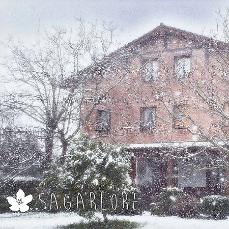 Domus Selecta Sagarlore Hotel